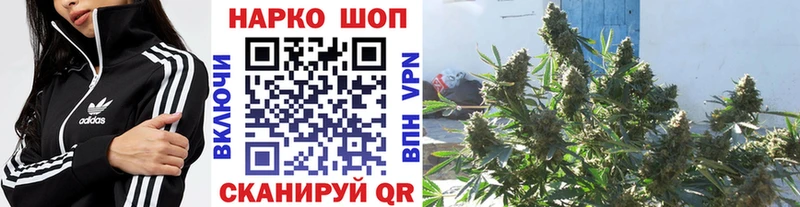 Где можно купить наркотики Бердск КОКАИН  Alpha-PVP  МЕФ  ГАШИШ  Канабис 