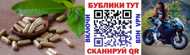 мега онион Бердск Экстази бентли