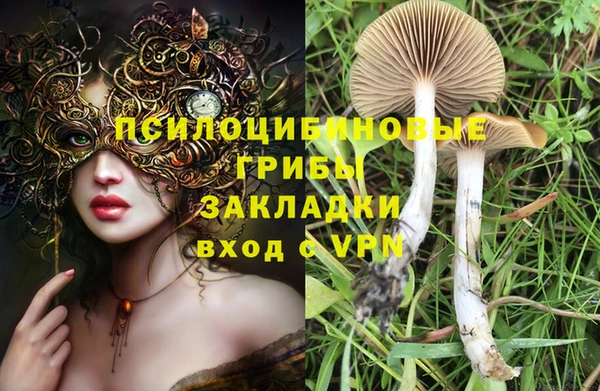 мет Алексин
