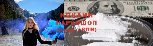 мет Алексин