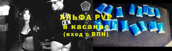 мет Алексин