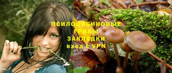 мет Алексин