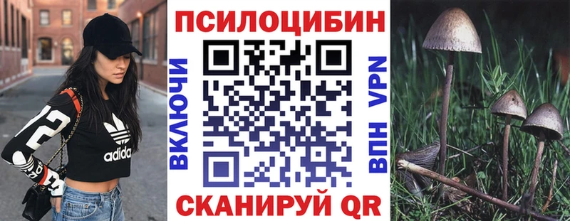 Псилоцибиновые грибы мухоморы цены Бердск
